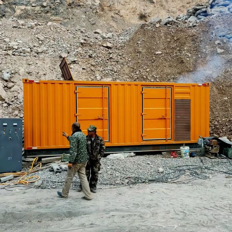 浦东如何选择适合自己的 800KW 柴油发电机组？